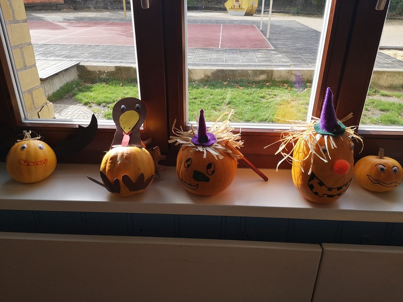 Read more about the article Das Programm für die Oktoberferien 2020