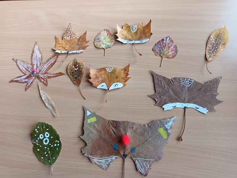 Read more about the article Das waren unsere Oktoberferien!